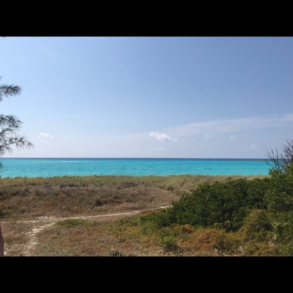 Meet your Posher, David - Picture 1 of 1